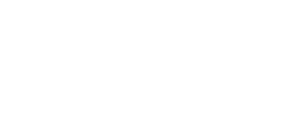 logo_IDM